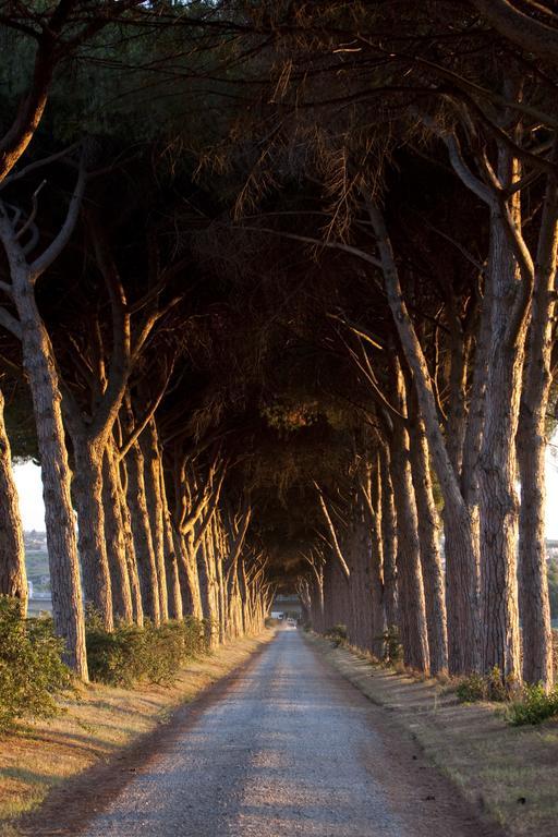 Monte Compatri Agriturismo Pantano Borghese מראה חיצוני תמונה