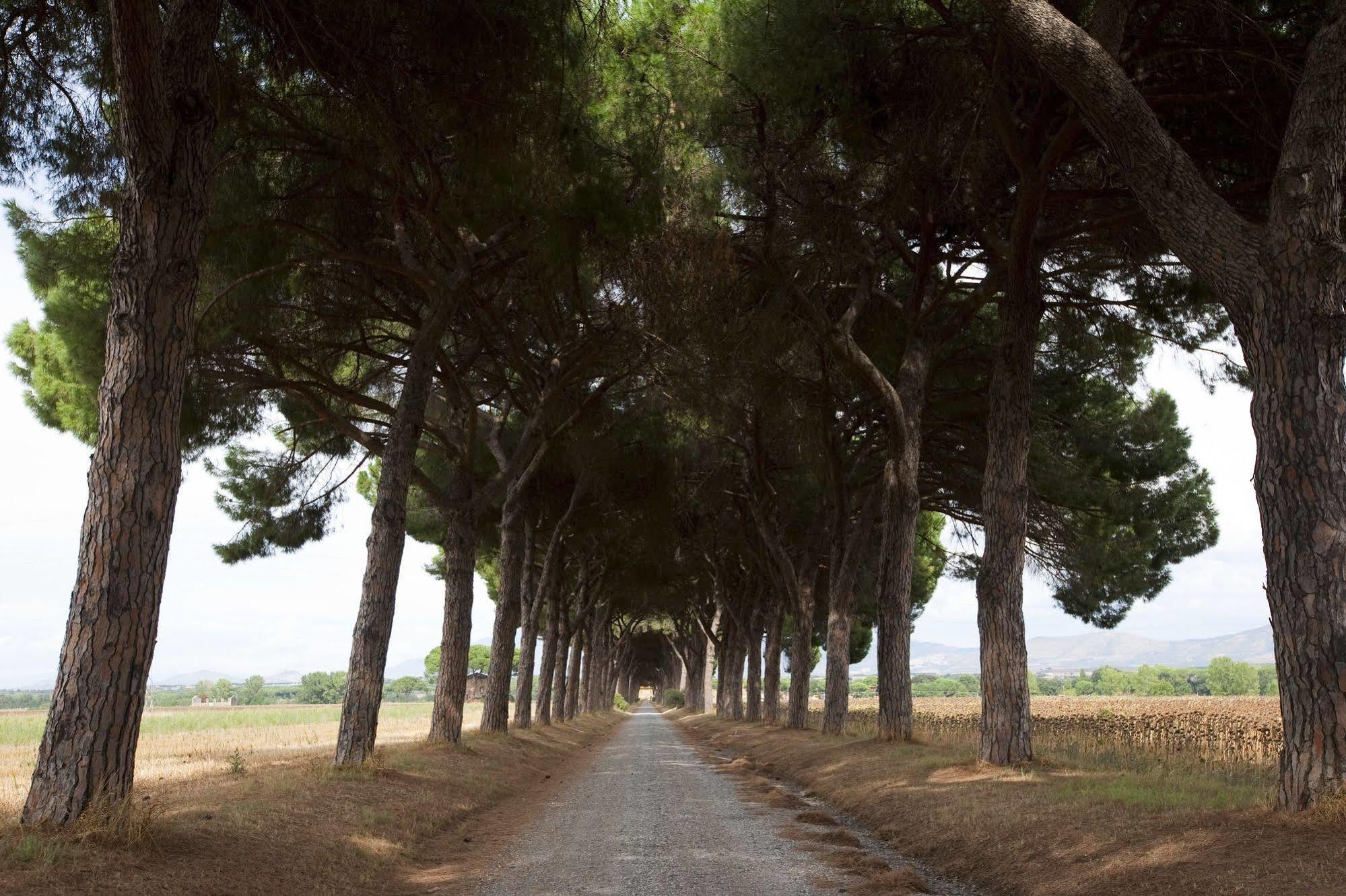 Monte Compatri Agriturismo Pantano Borghese מראה חיצוני תמונה